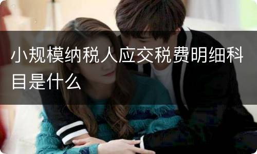 小规模纳税人应交税费明细科目是什么