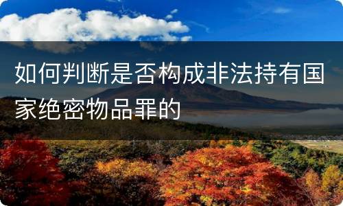 如何判断是否构成非法持有国家绝密物品罪的