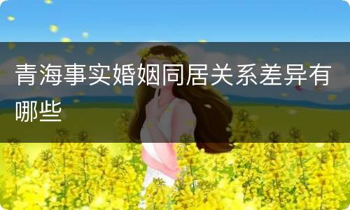 青海事实婚姻同居关系差异有哪些