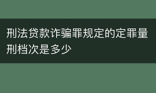 刑法贷款诈骗罪规定的定罪量刑档次是多少