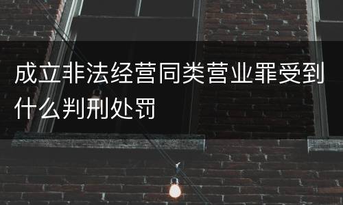 成立非法经营同类营业罪受到什么判刑处罚