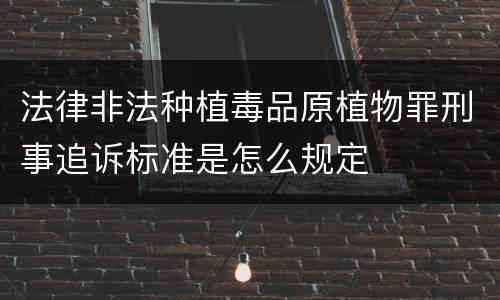 法律非法种植毒品原植物罪刑事追诉标准是怎么规定