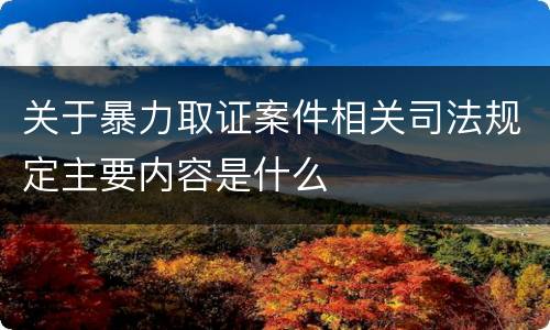 关于暴力取证案件相关司法规定主要内容是什么