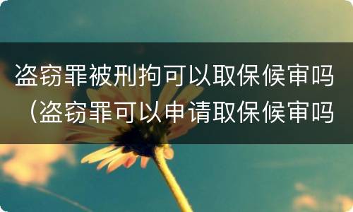 盗窃罪被刑拘可以取保候审吗（盗窃罪可以申请取保候审吗）