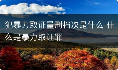 犯暴力取证量刑档次是什么 什么是暴力取证罪