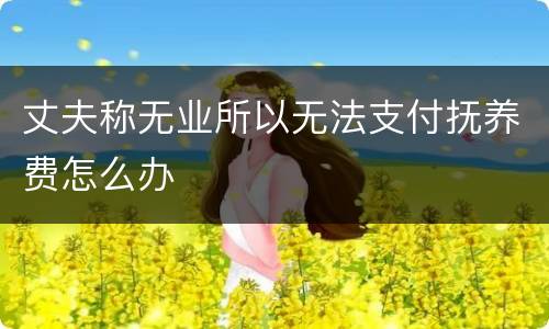 丈夫称无业所以无法支付抚养费怎么办