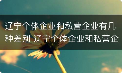 辽宁个体企业和私营企业有几种差别 辽宁个体企业和私营企业有几种差别吗
