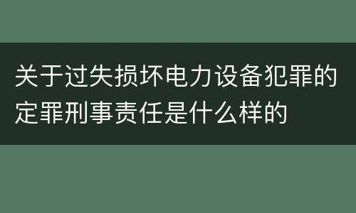 关于过失损坏电力设备犯罪的定罪刑事责任是什么样的