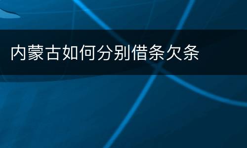 内蒙古如何分别借条欠条