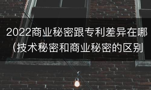 2022商业秘密跟专利差异在哪（技术秘密和商业秘密的区别）