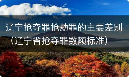 辽宁抢夺罪抢劫罪的主要差别（辽宁省抢夺罪数额标准）