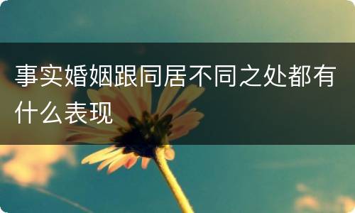 事实婚姻跟同居不同之处都有什么表现