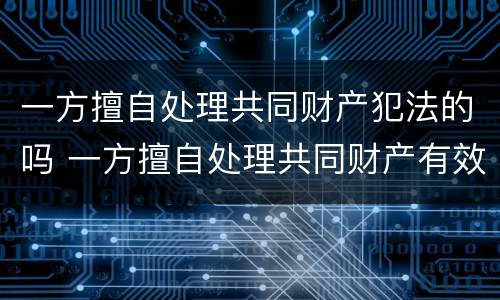 一方擅自处理共同财产犯法的吗 一方擅自处理共同财产有效吗