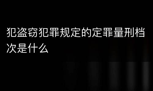 犯盗窃犯罪规定的定罪量刑档次是什么