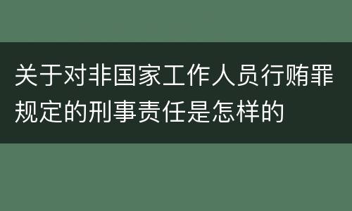 关于对非国家工作人员行贿罪规定的刑事责任是怎样的
