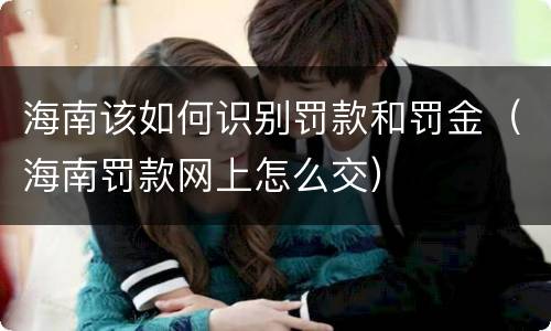 海南该如何识别罚款和罚金（海南罚款网上怎么交）