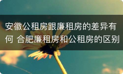 安徽公租房跟廉租房的差异有何 合肥廉租房和公租房的区别