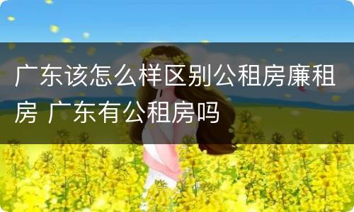广东该怎么样区别公租房廉租房 广东有公租房吗