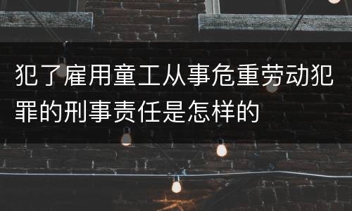 犯了雇用童工从事危重劳动犯罪的刑事责任是怎样的