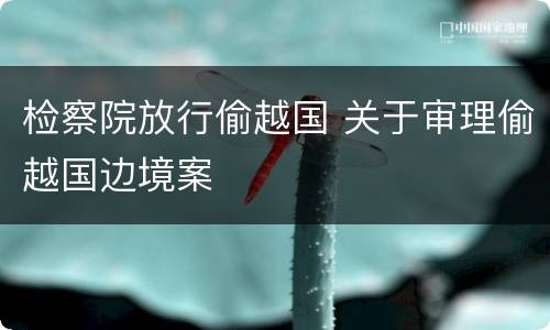 检察院放行偷越国 关于审理偷越国边境案