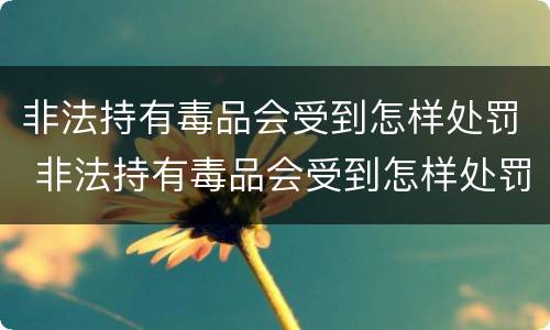 非法持有毒品会受到怎样处罚 非法持有毒品会受到怎样处罚呢