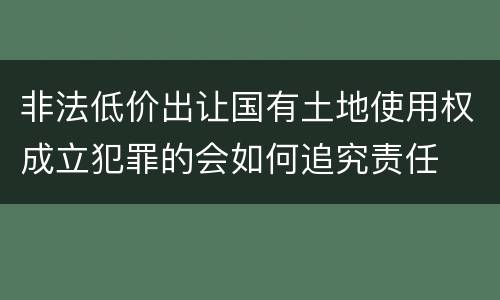 非法低价出让国有土地使用权成立犯罪的会如何追究责任