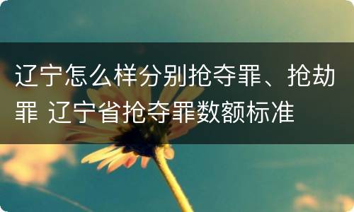 辽宁怎么样分别抢夺罪、抢劫罪 辽宁省抢夺罪数额标准