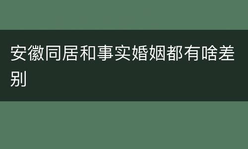 安徽同居和事实婚姻都有啥差别