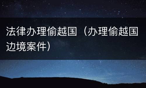 法律办理偷越国（办理偷越国边境案件）