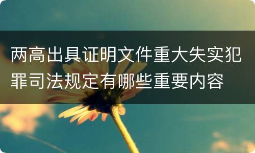 两高出具证明文件重大失实犯罪司法规定有哪些重要内容