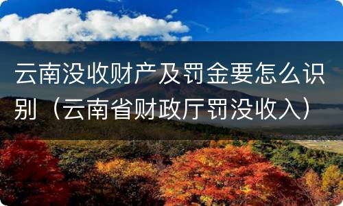 云南没收财产及罚金要怎么识别（云南省财政厅罚没收入）