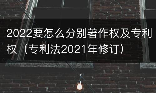 2022要怎么分别著作权及专利权（专利法2021年修订）