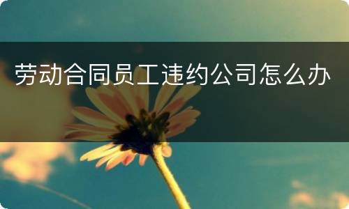 劳动合同员工违约公司怎么办