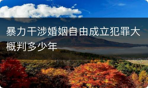 暴力干涉婚姻自由成立犯罪大概判多少年