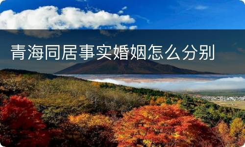 青海同居事实婚姻怎么分别