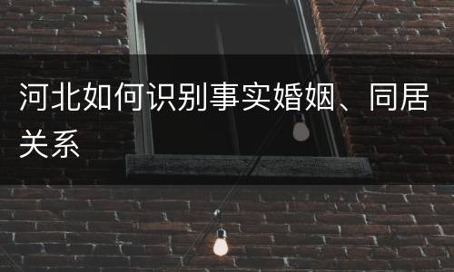 河北如何识别事实婚姻、同居关系