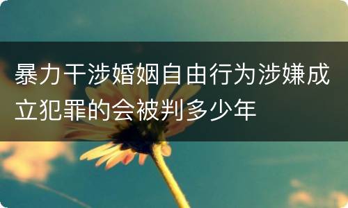暴力干涉婚姻自由行为涉嫌成立犯罪的会被判多少年