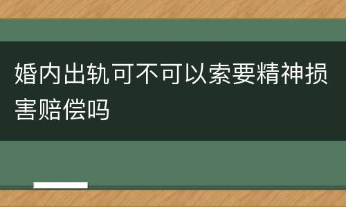婚内出轨可不可以索要精神损害赔偿吗