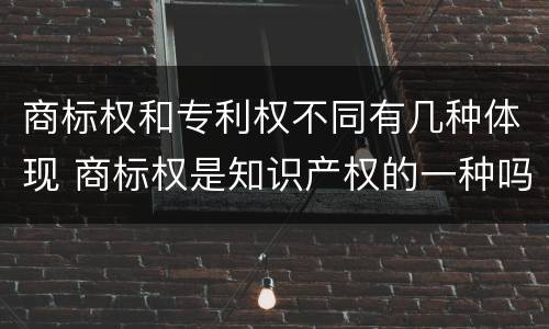 商标权和专利权不同有几种体现 商标权是知识产权的一种吗