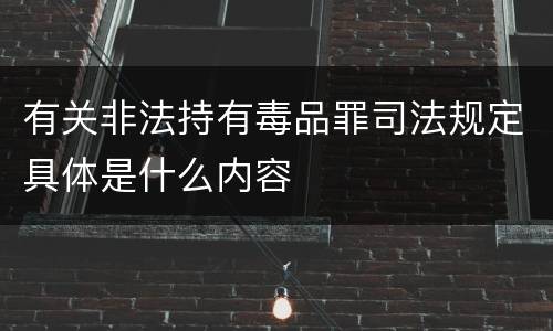有关非法持有毒品罪司法规定具体是什么内容