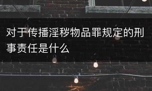 对于传播淫秽物品罪规定的刑事责任是什么