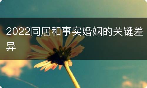 2022同居和事实婚姻的关键差异