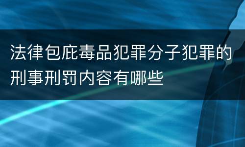 法律包庇毒品犯罪分子犯罪的刑事刑罚内容有哪些