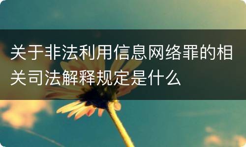关于非法利用信息网络罪的相关司法解释规定是什么