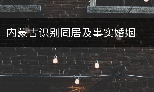 内蒙古识别同居及事实婚姻
