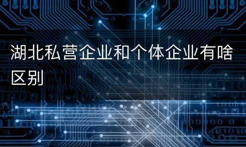 湖北私营企业和个体企业有啥区别