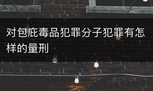 对包庇毒品犯罪分子犯罪有怎样的量刑
