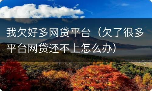 我欠好多网贷平台（欠了很多平台网贷还不上怎么办）