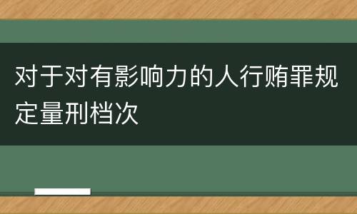 对于对有影响力的人行贿罪规定量刑档次