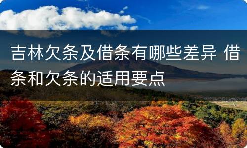 吉林欠条及借条有哪些差异 借条和欠条的适用要点